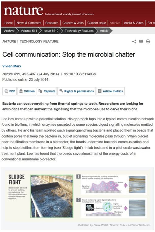 “Cell communication: Stop the microbial chatter” is published on July 24 in Nature, the world’s most prominent scientific journal. 