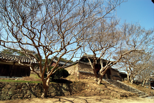 Byeongsan Seowon in Gyeongsangbuk-do was a private academy for Confucian scholars during the Joseon era (photo courtesy of Byeongsan Seowon).
