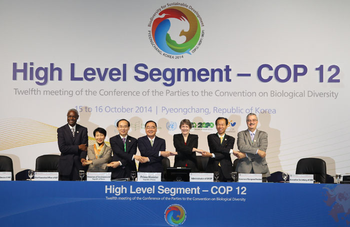 Participants in the High Level Segment of the COP12 pose for a photo during the opening ceremony on October 15.