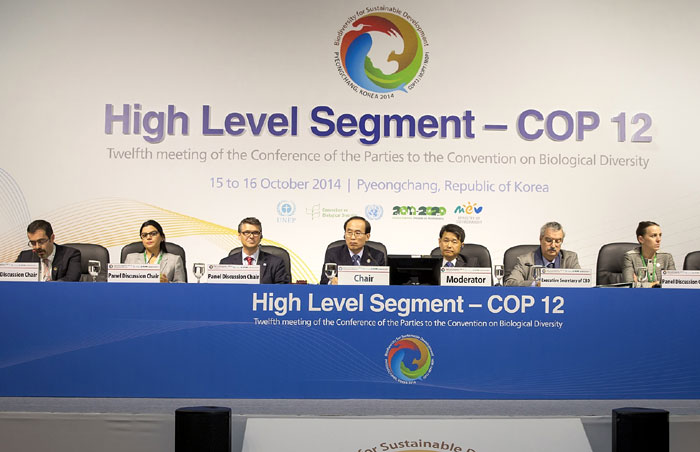 The Gangwon Declaration was adopted by participants in the High Level Segment of the COP12 on October 16.