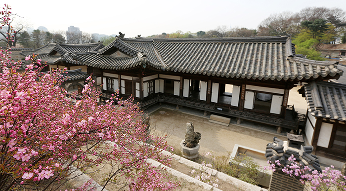 Spring flowers are in full bloom in the back garden of the Nakseonjae in Changdeokgung Palace. (photo: Jeon Han)