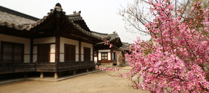 The back garden of the Nakseonjae in Changdeokgung Palace. (photo: Jeon Han)