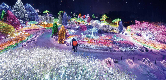 Millions of beautiful lights at the annual Lighting Festival of the Garden of Morning Calm (Photo courtesy of Garden of Morning Calm)