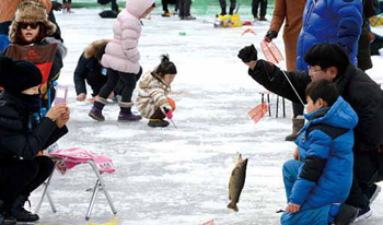 Visitors catch a lake trout at the Cheongpyeong Sledding and Icefish Festival