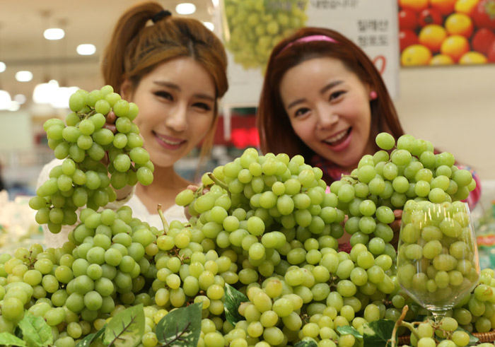 Models pose with seedless green grapes imported from Chile during a promotional event at a supermarket in Seoul. Korea’s exports to and its imports from Chile showed more than a four-fold increase thanks to the introduction of the Korea-Chile FTA ten years ago. (photo: Yonhap News)