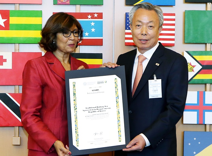 The mayor of Hadong-gun County, Youn Sang-ki (right), receives a certificate that designates the Traditional Hadong Tea Agrosystem as a Globally Important Agricultural Heritage System (GIAHS), at the GIAHS international forum in Rome on April 19. (Hadong-gun County)