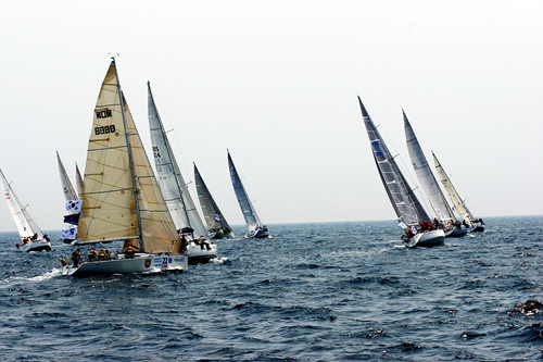 Yachting teams set out on a race off of Korea's eastern coast (photo courtesy of Korea Cup Organizing Committee).