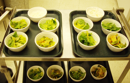 Different versions of the same food were presented (photo courtesy of RDA).