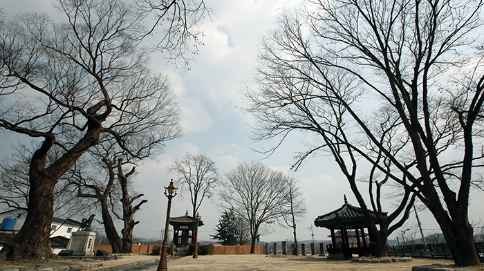 Osu-ri in Osu-myeon, Imsil-gun County, is famous for the legend of a loyal dog that sacrificed itself to save its master. 