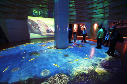 At the Turkey Pavilion, lights and video technology come together to create an underwater ocean experience. Visitors above look intently at the fish that swim around them