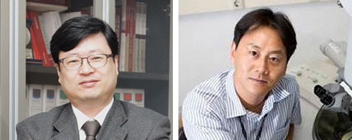 Professor Lee Jeewon of Korea University (left) and Dr. Kim Kwangmeyung of the Korea Institute of Science and Technology (KIST)