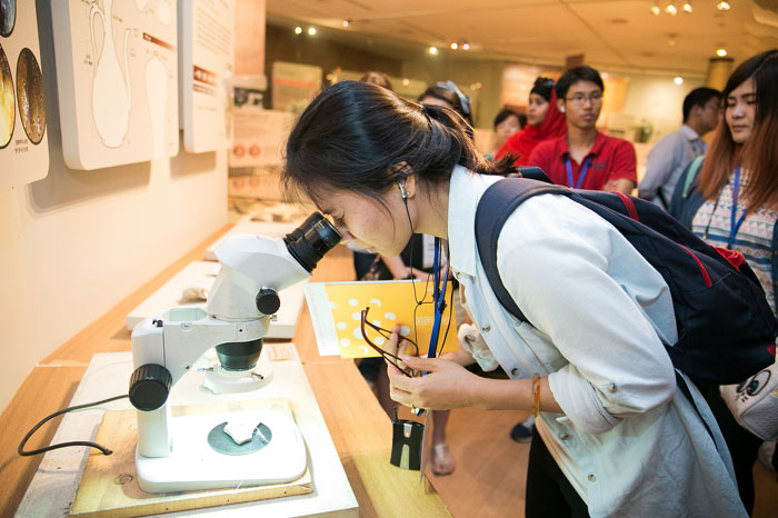 A student looks closely through a microscope at the surface of a piece of porcelain.
