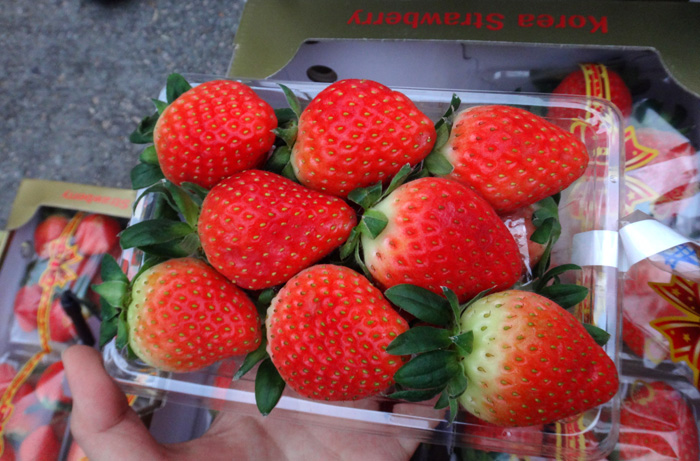 Sulhyang strawberries are known for their excellent size and taste. 