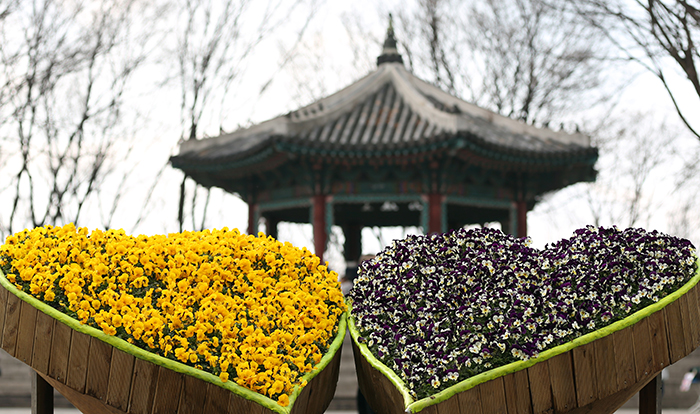 Flower beds in full bloom welcome visitors to the pavilion near the N Seoul Tower. (photo: Jeon Han)