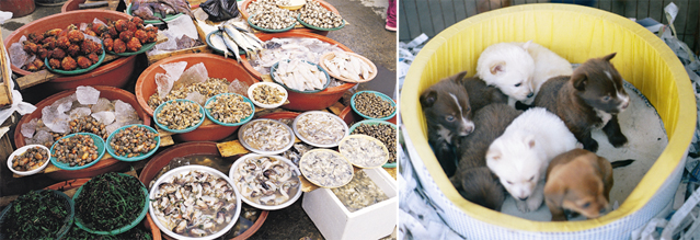 Ilsanjang offers everything from agricultural products to clothes and daily life conveniences.