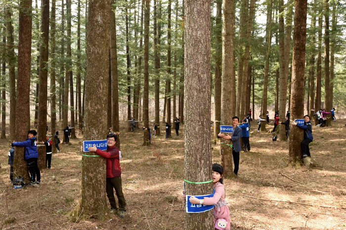 1,226명의 시민들이 21일 경기도 포천 국립수목원에서 열린 ‘트리 허그’행사에 참가해 나무를 안아주고 있다. 