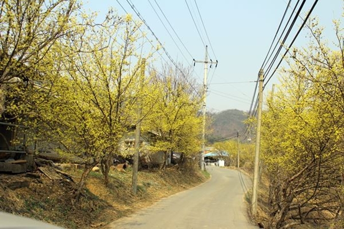 The way to Sangsuyu Village