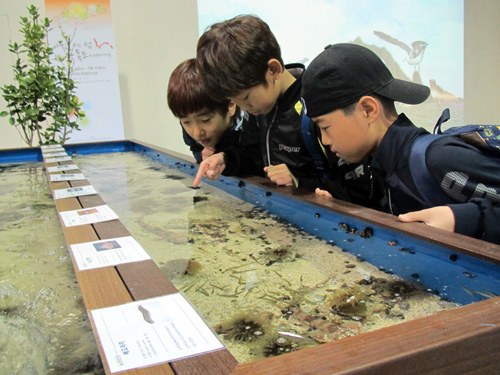 photo courtesy of the National Science Museum