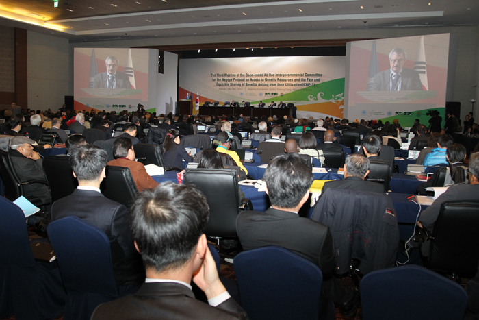 The 12th Meeting of the Conference of the Parties to the Convention on Biological Diversity (COP12) will begin on September 29. Some 20,000 people, including representatives from 193 nations, are expected to attend the conference. (photo: the Korean Secretariat of the UN Biodiversity Conference) 