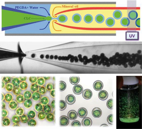The above images show how to make encapsulated micro liquid crystals and their optical characteristics.