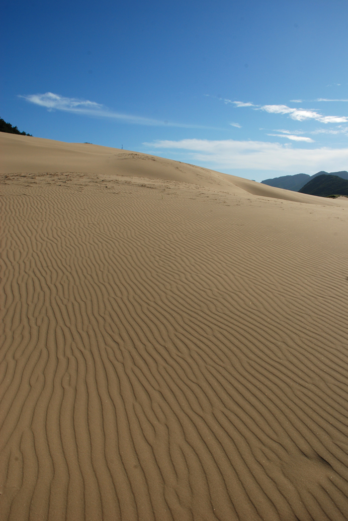  The Okjungdong Dunes, located on the north side of Daecheong Island, off the coast of Ongjin County, Incheon, is a rare scene for the mountainous Korean Peninsula. (photo courtesy of the National Institute of Environmental Research) 