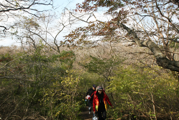 Walking in the forest can relax people’s body and mind. (photo: Yonhap News) 