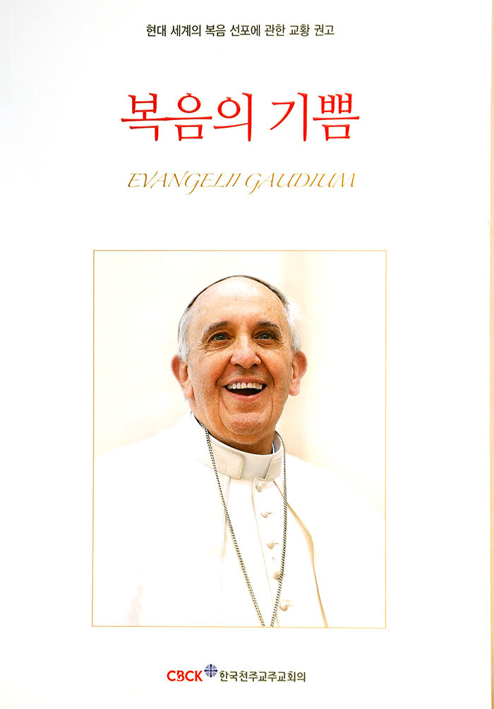 Evangelli Gaudium by Pope Francis is creating a sensation.
