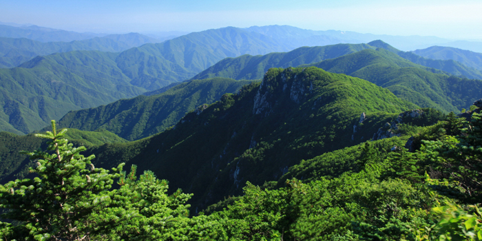 (From top) Jirisan Mountain is recognized for its great biodiversity while Seoraksan and Odaesan mountains are highly valued for their scenic beauty. 
