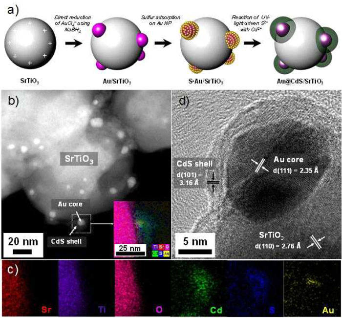 The structure and formation of gold plasmonic nanostructures, as seen through an electron microscope: (a) the synthesizing of nanostructures; (b) the image of Au@CdS core-shell structures scattered on the nanostructures; and, (c) mapping the second nano particles. 