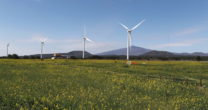 SK D&D’s wind power plant in the Jeju-do village of Gasi-ri