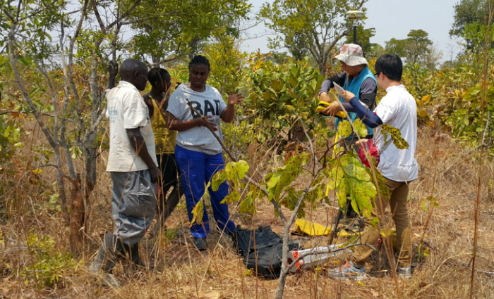 The National Geographic Information Institute (NGII) staff delegated to Zambia take measurements of ground control points for geological and mining information.