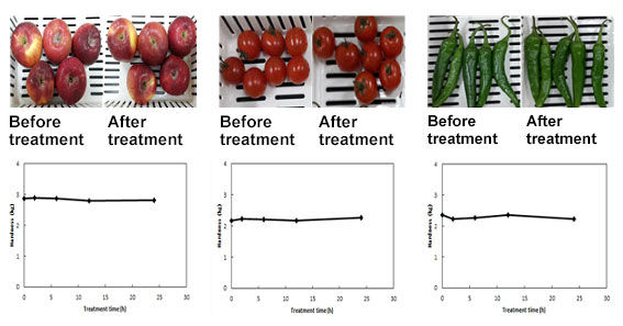 The above photos show the status of apples, cherry tomatoes and chilies before (left) and after (right) the plasma treatment. 