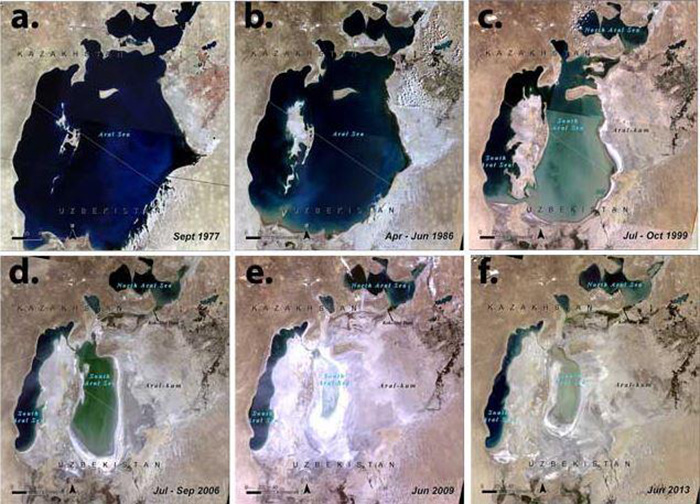 The Aral Sea has shrunk to one tenth of its size due to large-scale irrigation and has been turned into a huge saline desert due to salty dust. The NIFoS, the national research institute at the KFS, suggested building tree belts as a solution to the local residents’ damages.