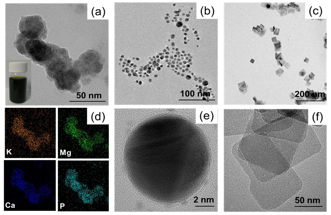  Chlorophyll extracted from plants (a, d); plasmonic silver nanoparticles (b, e); transmission electron microscopy (TEM) photos of titanium dioxide, a light absorber (c, f). (photos courtesy of the MISP) 