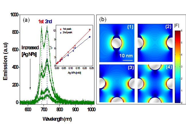 The spectrum of improved light emission from chlorophyll, with progress made by plasmonic silver nanoparticles (a); light emission simulation according to the arrangement of silver nanoparticles and chlorophyll (b). (images of the courtesy of the MISP) 