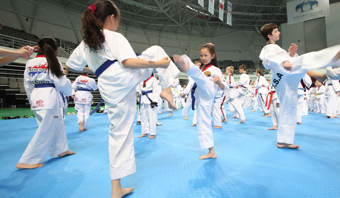 Participants in the World Taekwondo Culture Expo practice their forms.