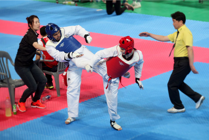 Athletes compete in matches at the World Taekwondo Culture Expo.