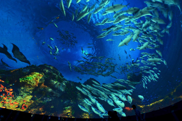 As a beam of light shoots through the pitch blackness on a large dome screen inside the Korea Pavilion, visitors are submerged deep under the sea (photo: Yonhap News).