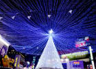 Busan Christmas Tree Festival (Shine a Light for Peace) 