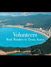 VolunteersWorkWondersinTaeanKorea_200805.gif