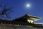 moon.jpg