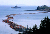 Jindo Mysterious Sea Road Festival