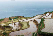 yeosu_thumb.jpg