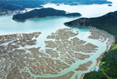 yeosu_thumb.jpg