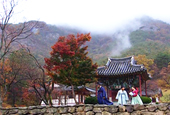 daejanggeum_thumb.jpg