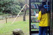 forest_library_th.jpg