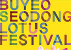 Seodong Lotus Festival