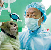 Korea_biotech_01_thumb.jpg