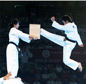 taekwondo_t.jpg