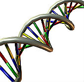 dna_thumb_real.jpg